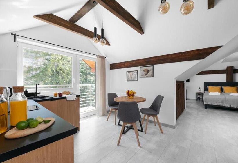 סטודיו סטנדרט, מיטה זוגית, Aparthotel Narciarska 2