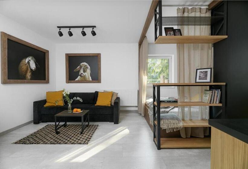 סטודיו סטנדרט, מיטה זוגית, Aparthotel Narciarska 2