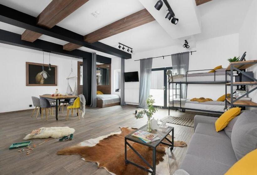 إستوديو قياسى, Aparthotel Narciarska 2