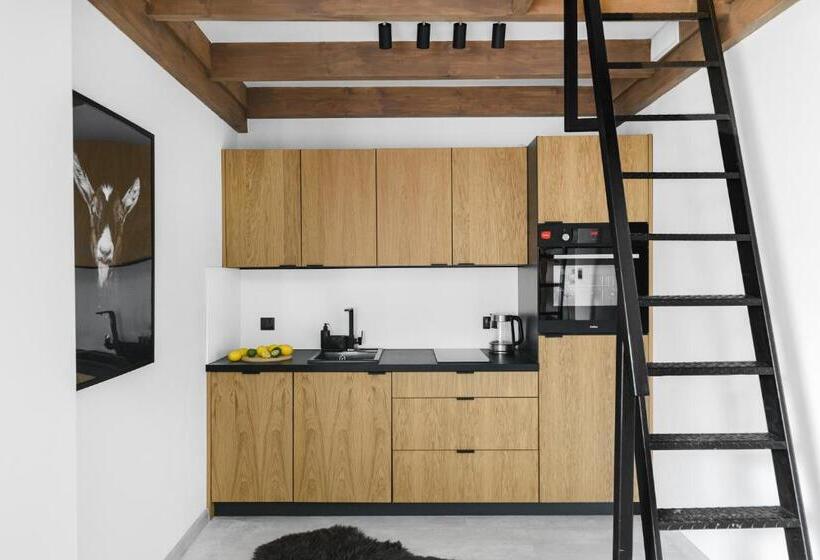 דירת דופלקס בת חדר שינה 1, Aparthotel Narciarska 2