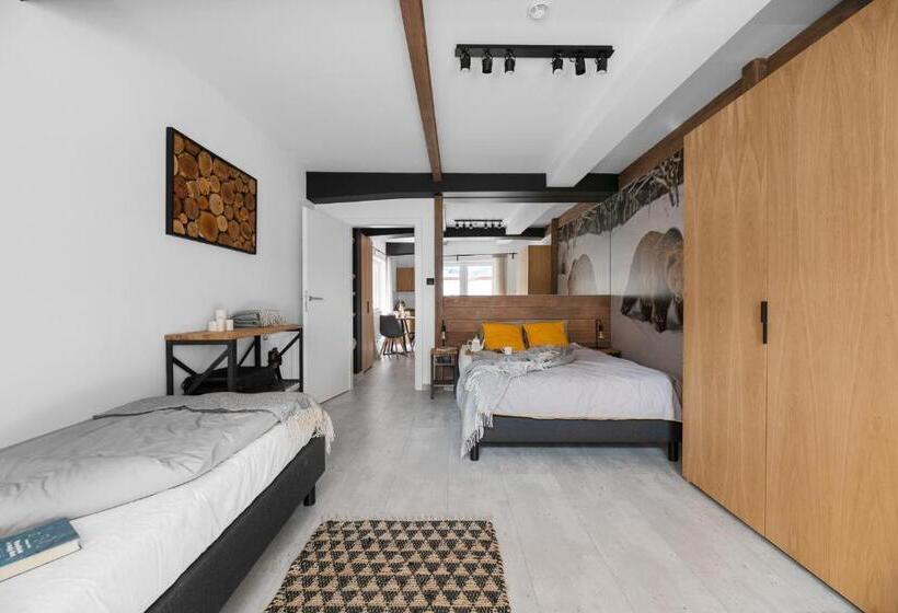 شقة غرفة واحدة, Aparthotel Narciarska 2