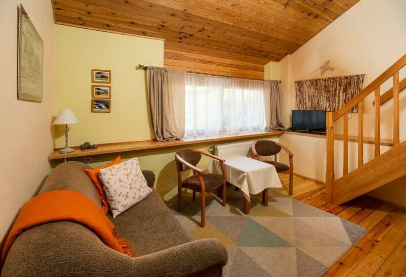 Номер Стандарт Трехместный, Chata Cyborga