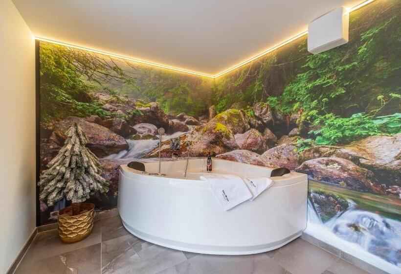 آپارتمان 2 خوابه, Serce Tatr Residence Zakopane   Blisko Krupówek