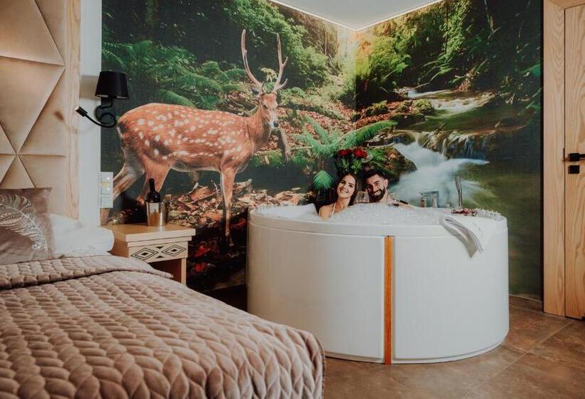 اتاق لوکس با وان آب گرم, Serce Tatr Residence Zakopane   Blisko Krupówek