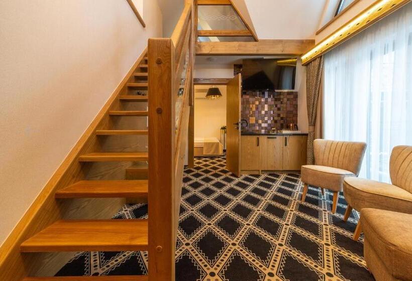 1 Bedroom Apartment Mountain View, Serce Tatr Residence Zakopane   Blisko Krupówek