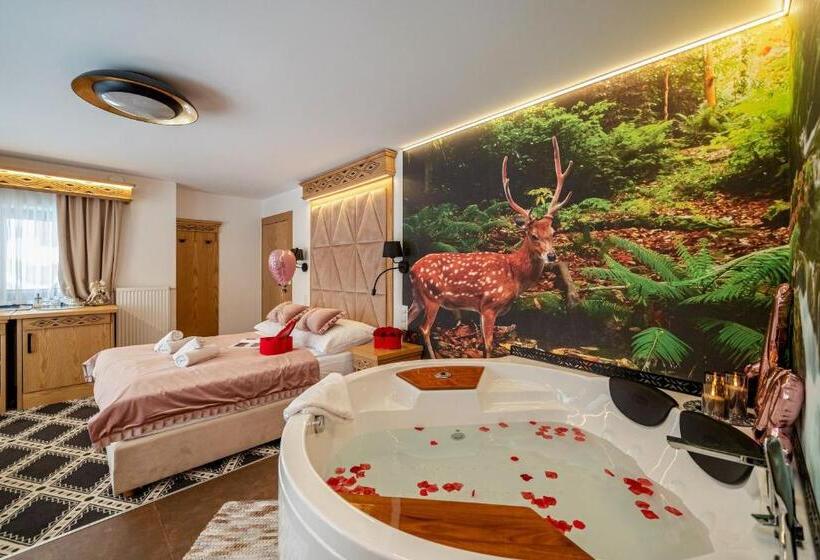 اتاق لوکس با وان آب گرم, Serce Tatr Residence Zakopane   Blisko Krupówek