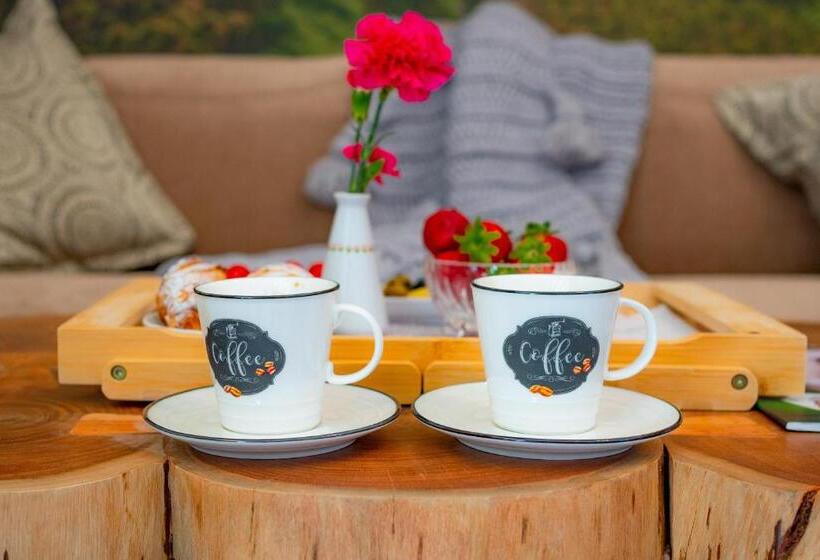 1 Bedroom Apartment Mountain View, Serce Tatr Residence Zakopane   Blisko Krupówek