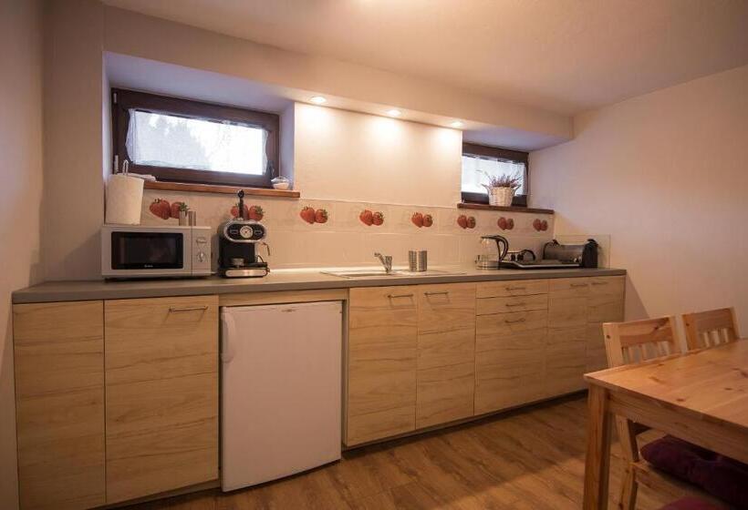 آپارتمان 1 خوابه, Willa Jak U Babci