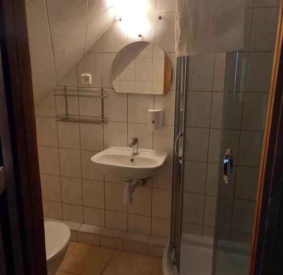 싱글 기본룸, Dworek Staropolski