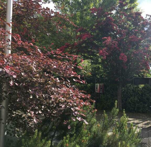 Standard Studio, Gosciniec Tombor