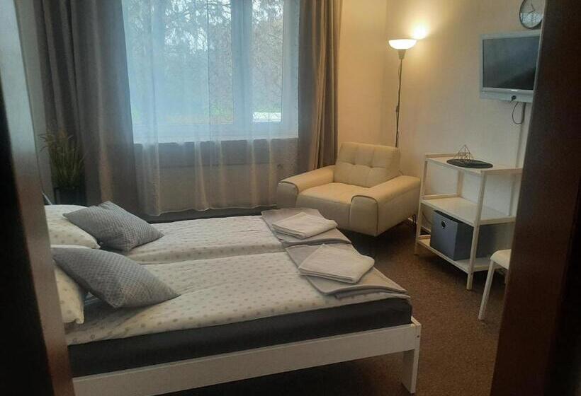 스탠다드 룸 킹사이즈 침대, Olimpijski