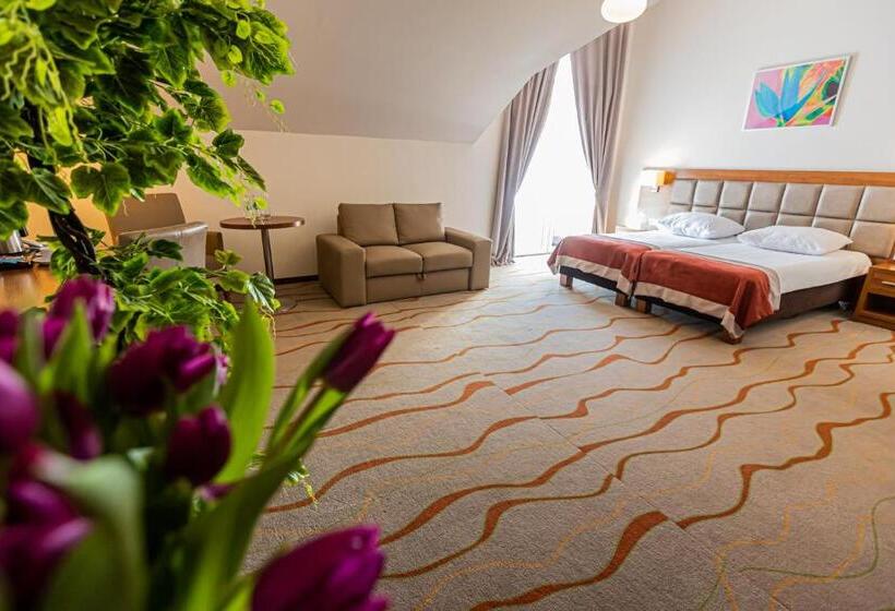 带阳台的豪华间, Olivia Medical Spa