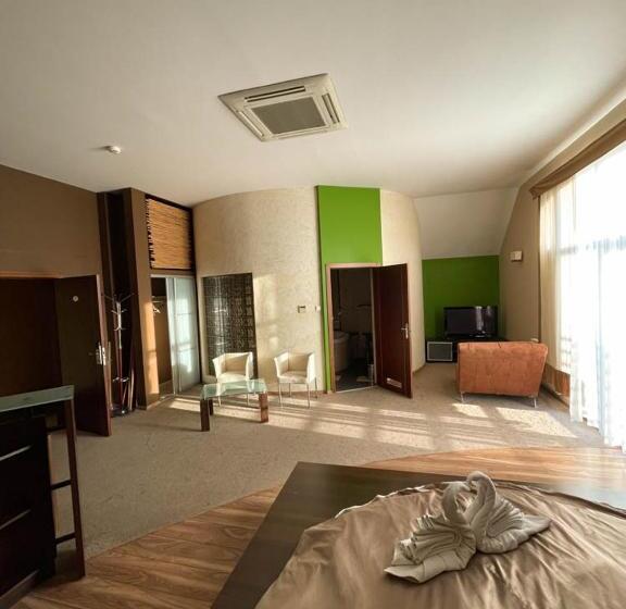 キングサイズベッドのスタンダードルーム, Sens