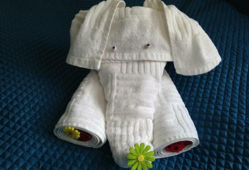 غرفة قياسية فردية, Motel S5