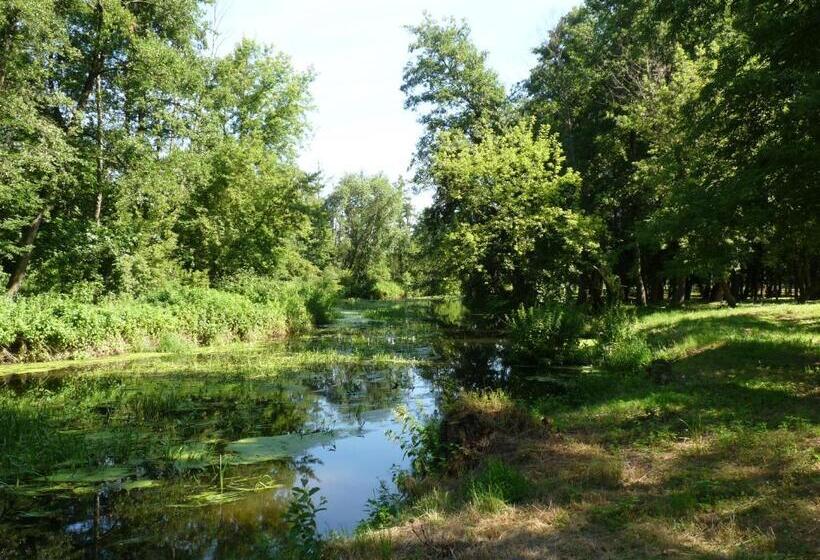 غرفة قياسية, Biały Dom