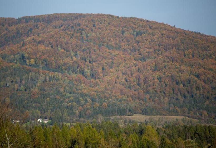 חדר משפחתי נוף להרים, Bojkowa Chata