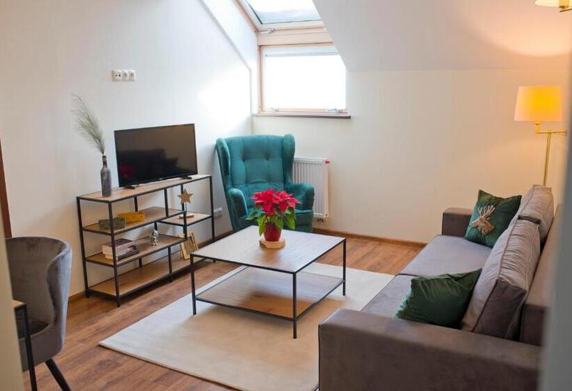 חדר סטודיו סטנדרד, Pensjonat Pod Samowarem