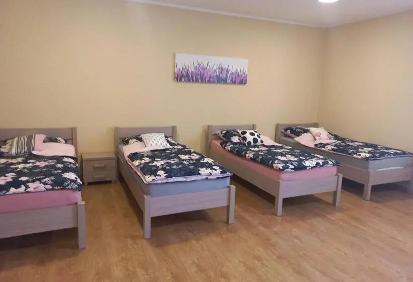 エコノミー４人部屋, Pod Kogucikiem