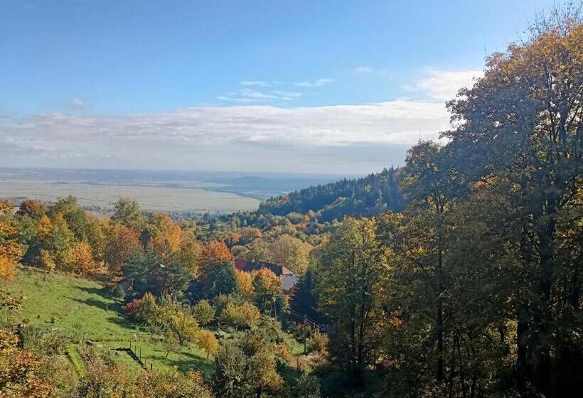 חדר סטנדרט לארבעה, Villa Hubertus