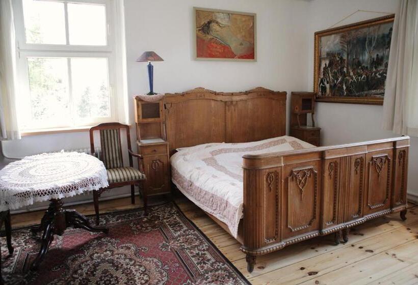 סוויטת ג'וניור נוף לגינה, Villa Navigator