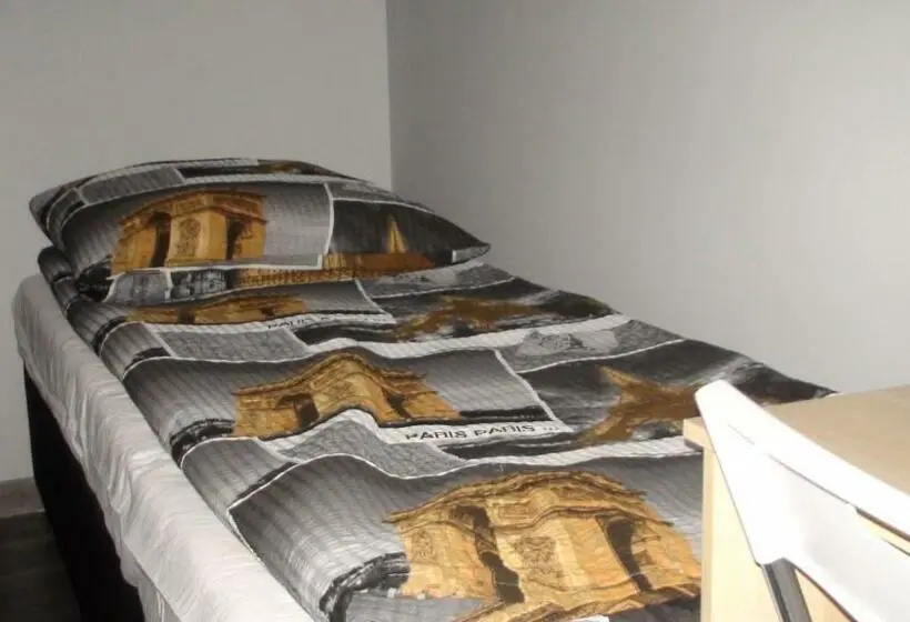 Standard Yhden Hengen Huone, Hostel Kamienna Centrum