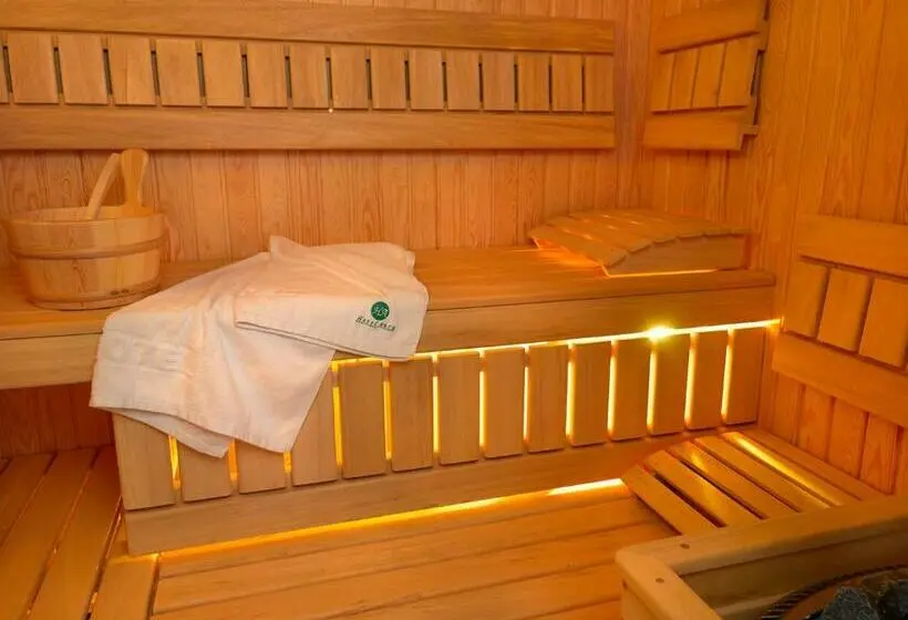 スタンダードルーム, Aura   Hotel & Restaurant & Sauna