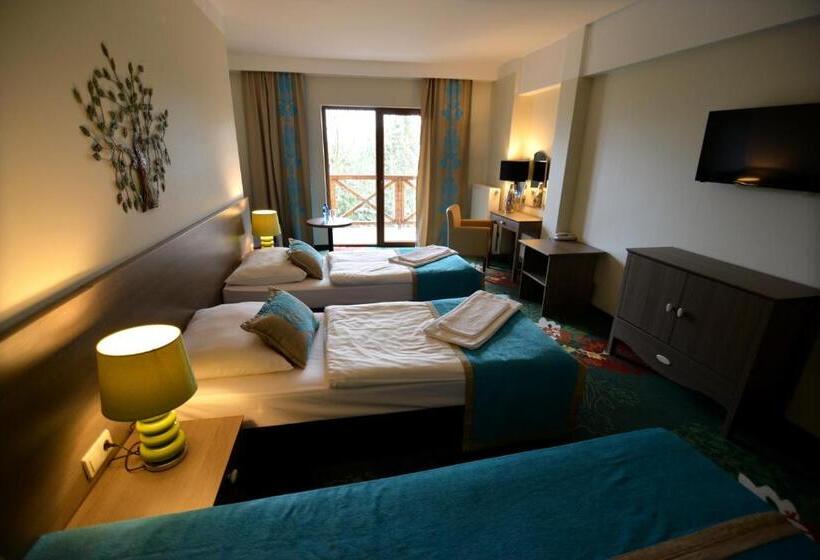 带阳台的三人标准间, Europa Górnicza Strzecha