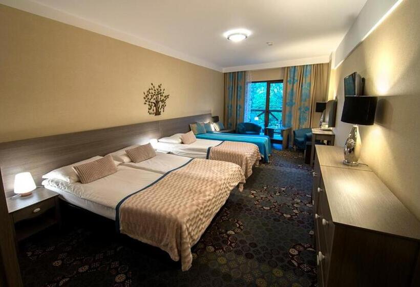 四人标准间, Europa Górnicza Strzecha