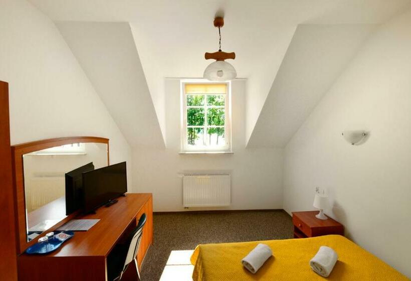 اتاق استاندارد با چشمانداز دریاچه, Pirat Hotel & Spa Hotel Z Basenem