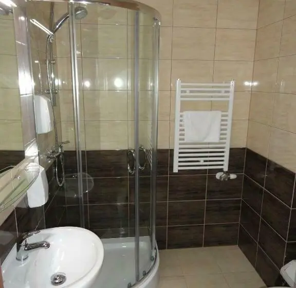 Standard Yhden Hengen Huone, Wielkopolanka
