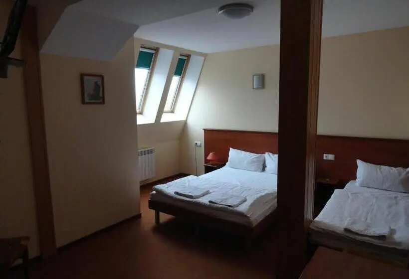 Standard Kolmen Hengen Huone, Wielkopolanka
