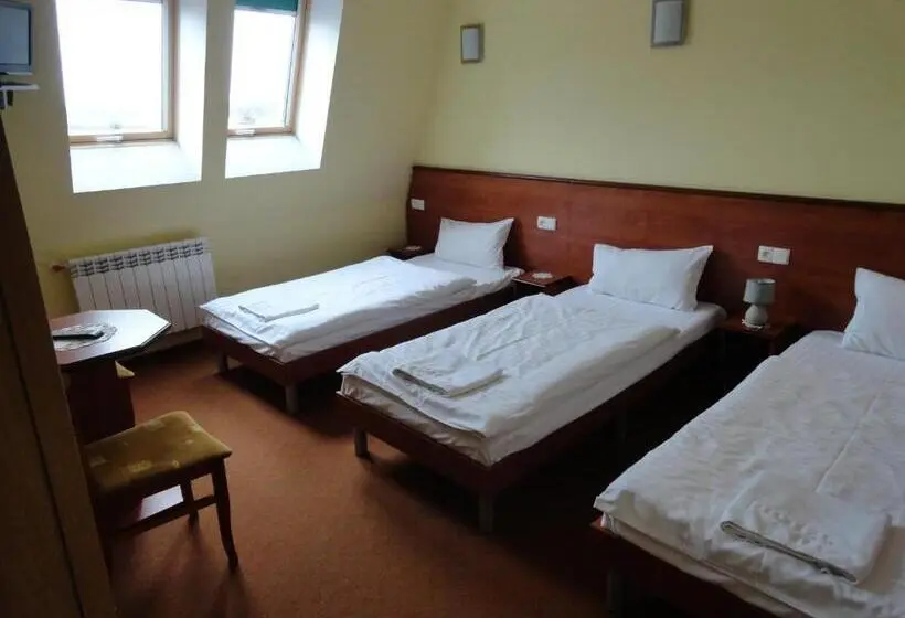 Standard Kolmen Hengen Huone, Wielkopolanka