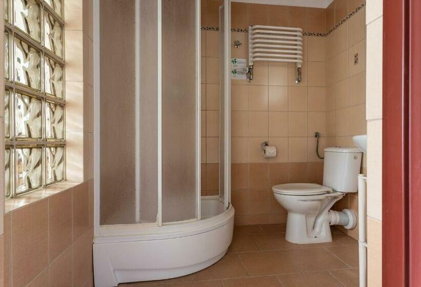 استودیوی استاندارد, Zamek