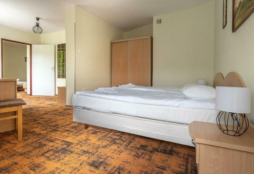 استودیوی استاندارد, Zamek