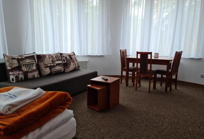 استودیوی استاندارد, Hel Wieniec Zdrój