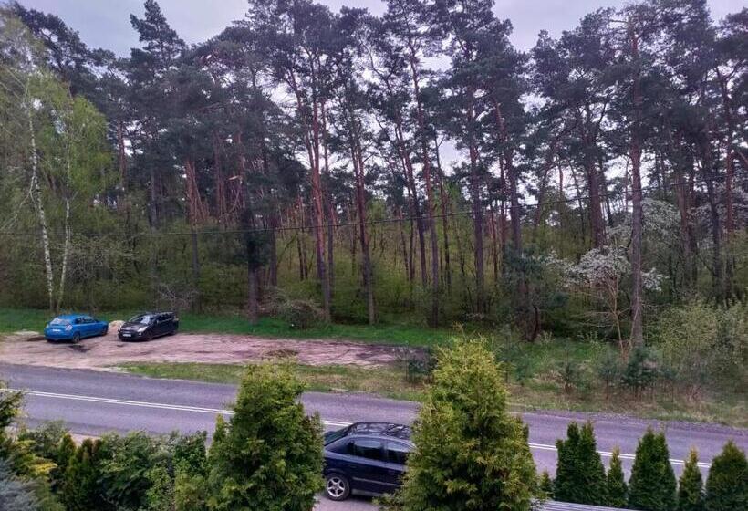 اتاق استاندارد یک نفره, Hel Wieniec Zdrój