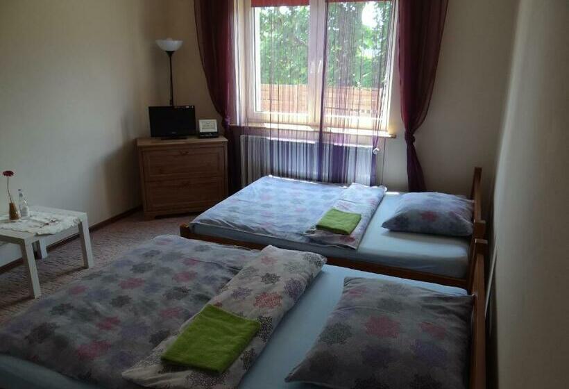 اتاق استاندارد با 2 تخت دوبل, Noclegi Airportpark