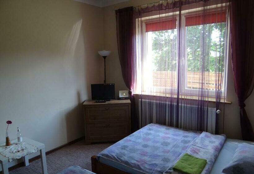 اتاق استاندارد با 2 تخت دوبل, Noclegi Airportpark