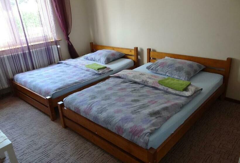 اتاق استاندارد با 2 تخت دوبل, Noclegi Airportpark