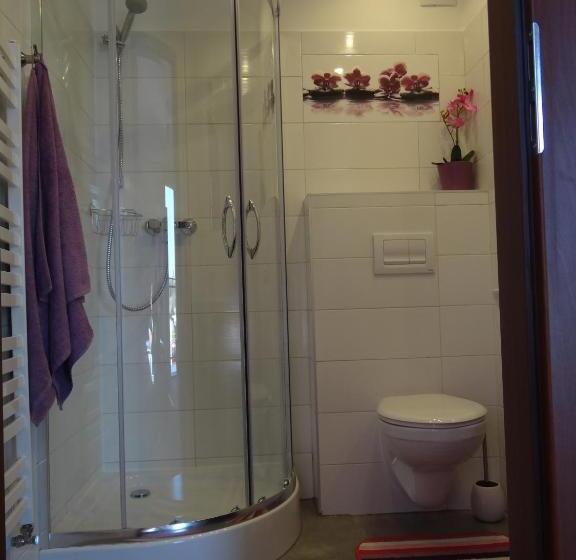 استودیوی استاندارد, Noclegi Airportpark