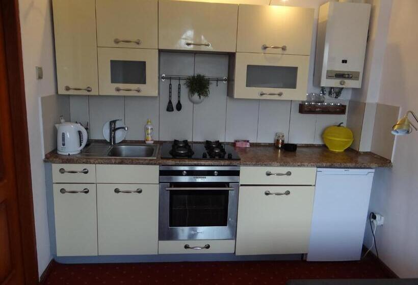 آپارتمان سوپریور 2 خوابه, Noclegi Airportpark