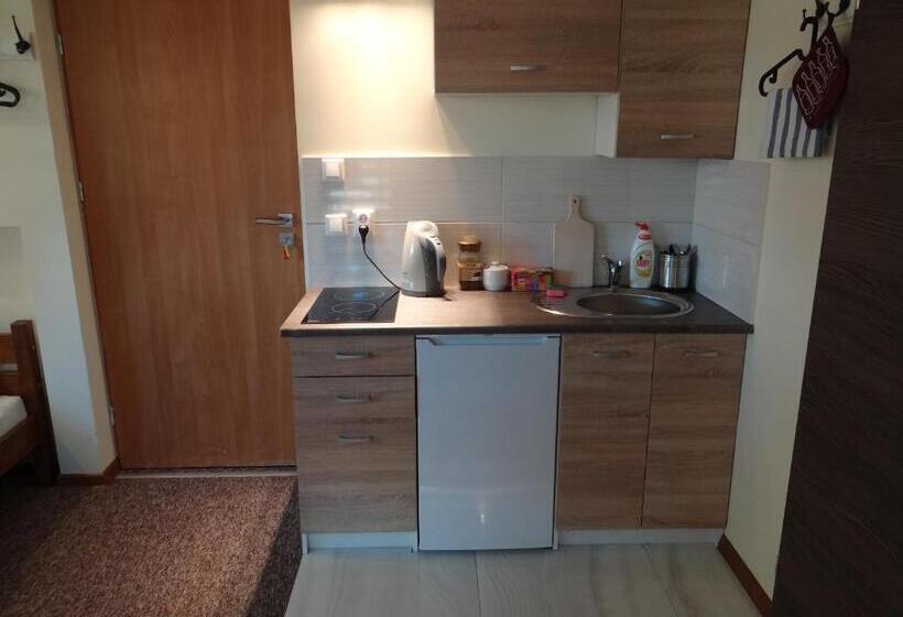 آپارتمان 1 خوابه با تراس, Noclegi Airportpark