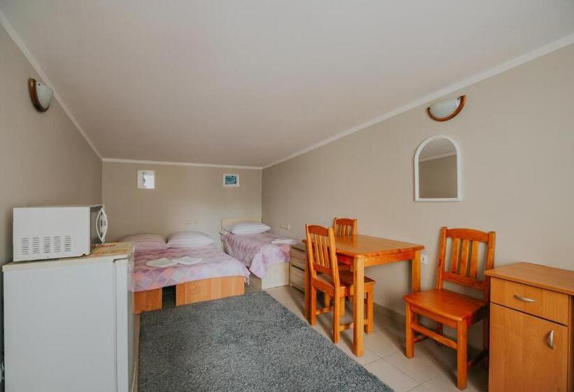 Студия Стандарт, Willa Tina