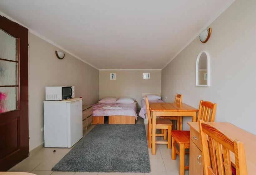 Студия Стандарт, Willa Tina