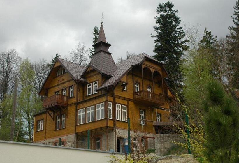 Номер Стандарт Вид на Горы, Willa Nimfa   Pokoje I Apartamenty W Centrum