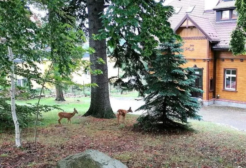 ビラホテル１ベッドルーム, Willa Nimfa   Pokoje I Apartamenty W Centrum
