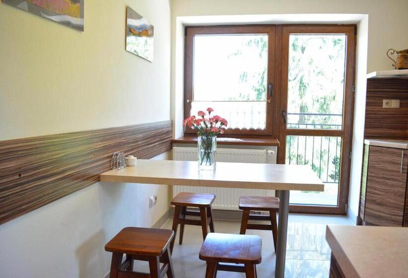 آپارتمان لوکس 2 خوابه, Willa Pasja