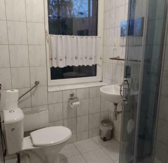 Standard-huone, Pensjonat Syriusz