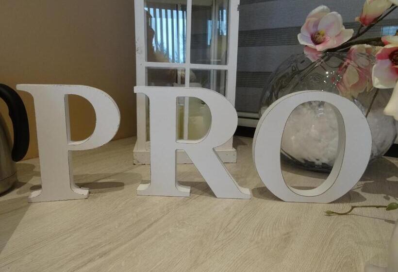 اتاق لوکس, Pro B&b