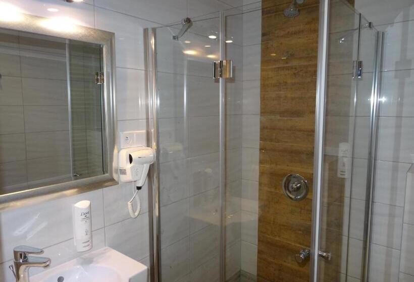 اتاق لوکس, Pro B&b